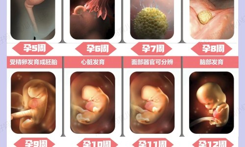 肥厚性胃炎严重吗-权威肥厚性胃炎能治愈吗平台,分享专业肥厚性胃病知识_肥厚性胃炎用药网