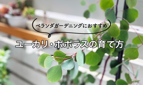 肥厚性胃炎能治愈吗-权威肥厚性胃炎能治愈吗平台,分享专业肥厚性胃病知识_肥厚性胃炎用药网