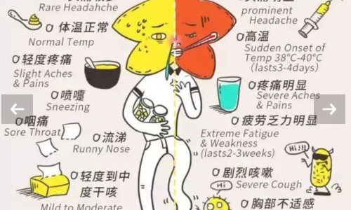 权威肥厚性胃炎能治愈吗平台,分享专业肥厚性胃病知识_肥厚性胃炎用药网